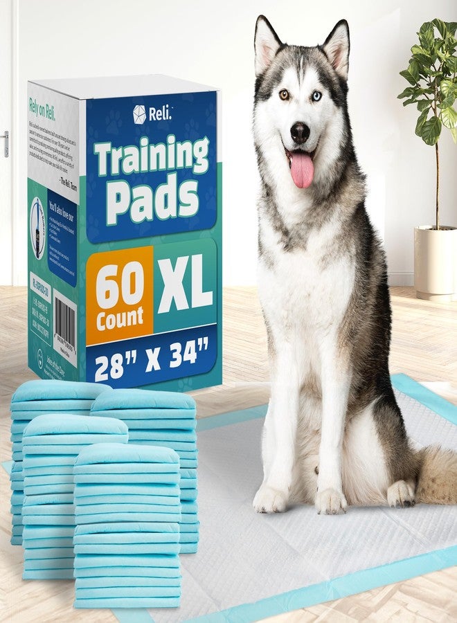 Reli. Dog Pee Pads Extra Large (60 Count) | XL 28" x 34" | Super Absorbent Puppy Peepad | Disposable, Leak-Proof Pet Training Mats for House, Crate Training - Image 1